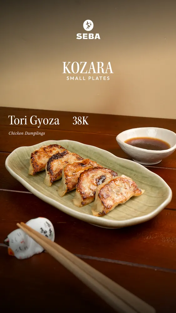 Tori Gyoza
